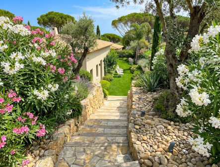 Escalier paysager en pierre naturelle bordé de murets et de lauriers roses, menant à un jardin méditerranéen ensoleillé à Fréjus, réalisé par Azur Bati 83
