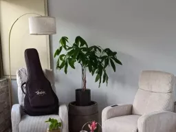 Rénovation Intégrale Haut de Gamme – Roquebrune-Cap-Martin